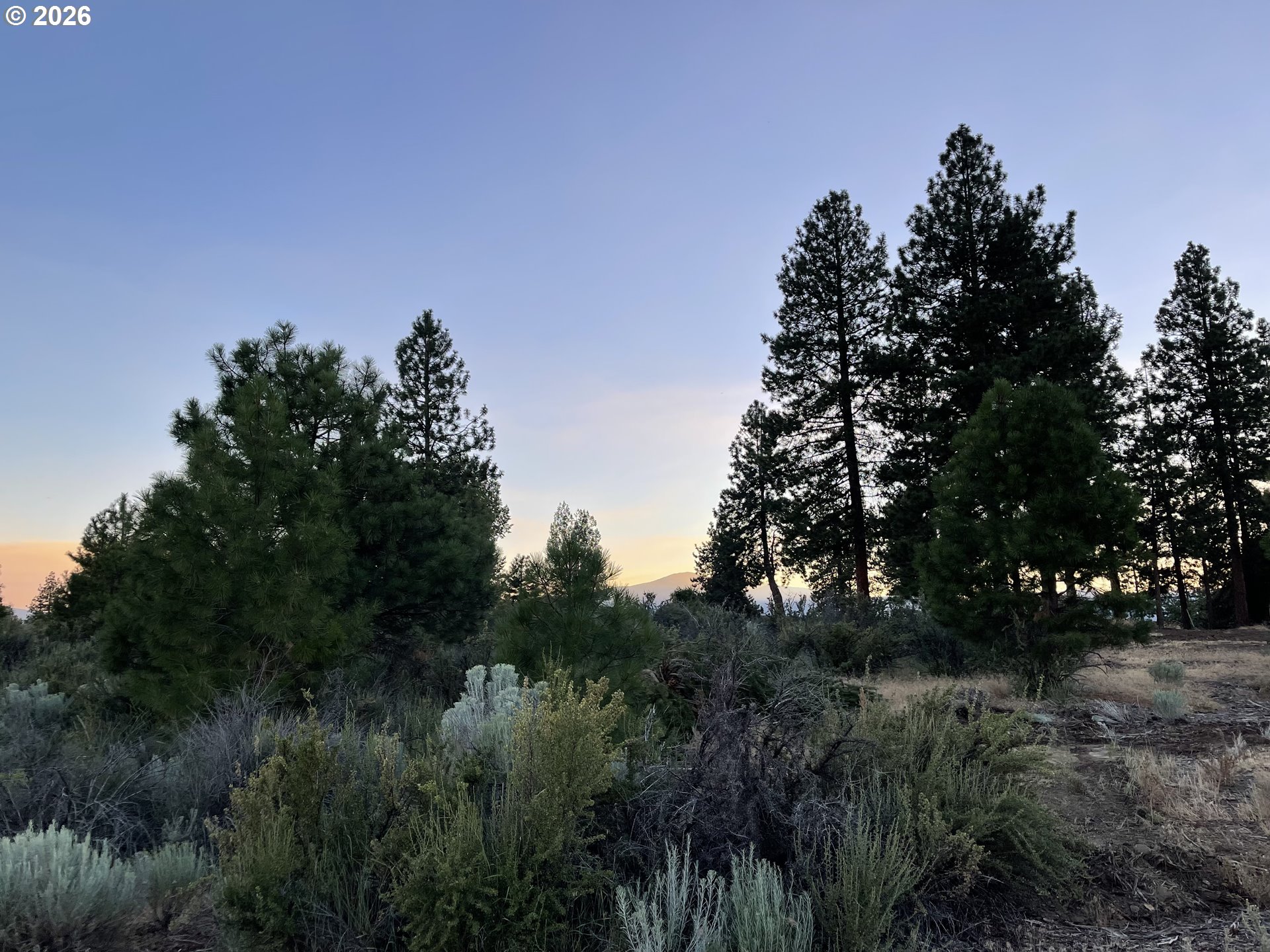 David Street, Unit 1 Chiloquin, OR 97624 - Photo 10 of 15