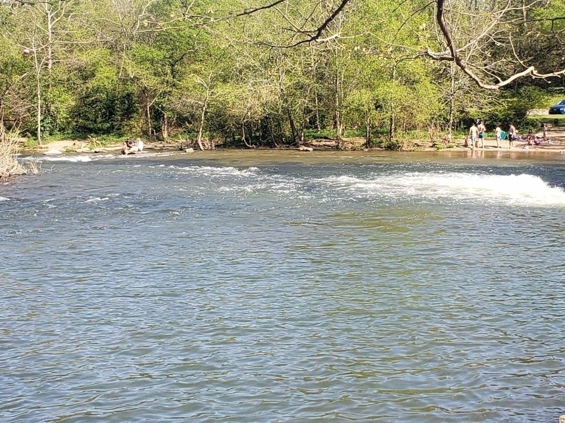 4918 Barnburgh Lane Murfreesboro, TN 37129 - Photo 17 of 24 a view of a yard with a house