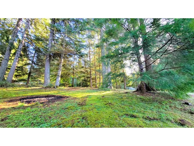 $799,000 | 34336 Stewart Hills Lane, Cottage Grove, OR 97424