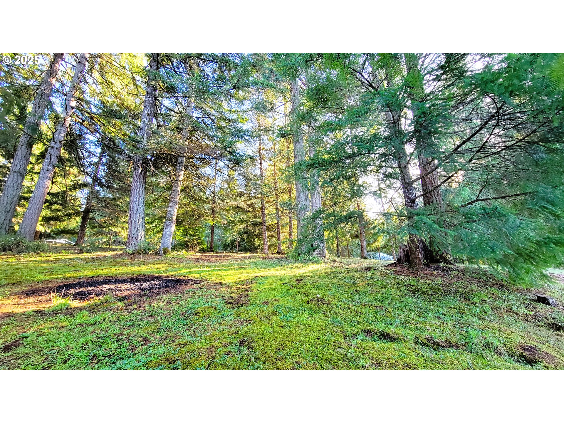 34336 Stewart Hills Lane Cottage Grove, OR 97424 - Photo 30 of 40 a black and white photo of a house