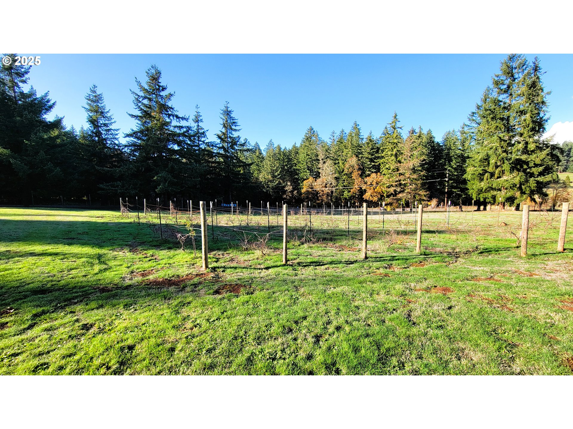 34336 Stewart Hills Lane Cottage Grove, OR 97424 - Photo 35 of 40 a view of a park