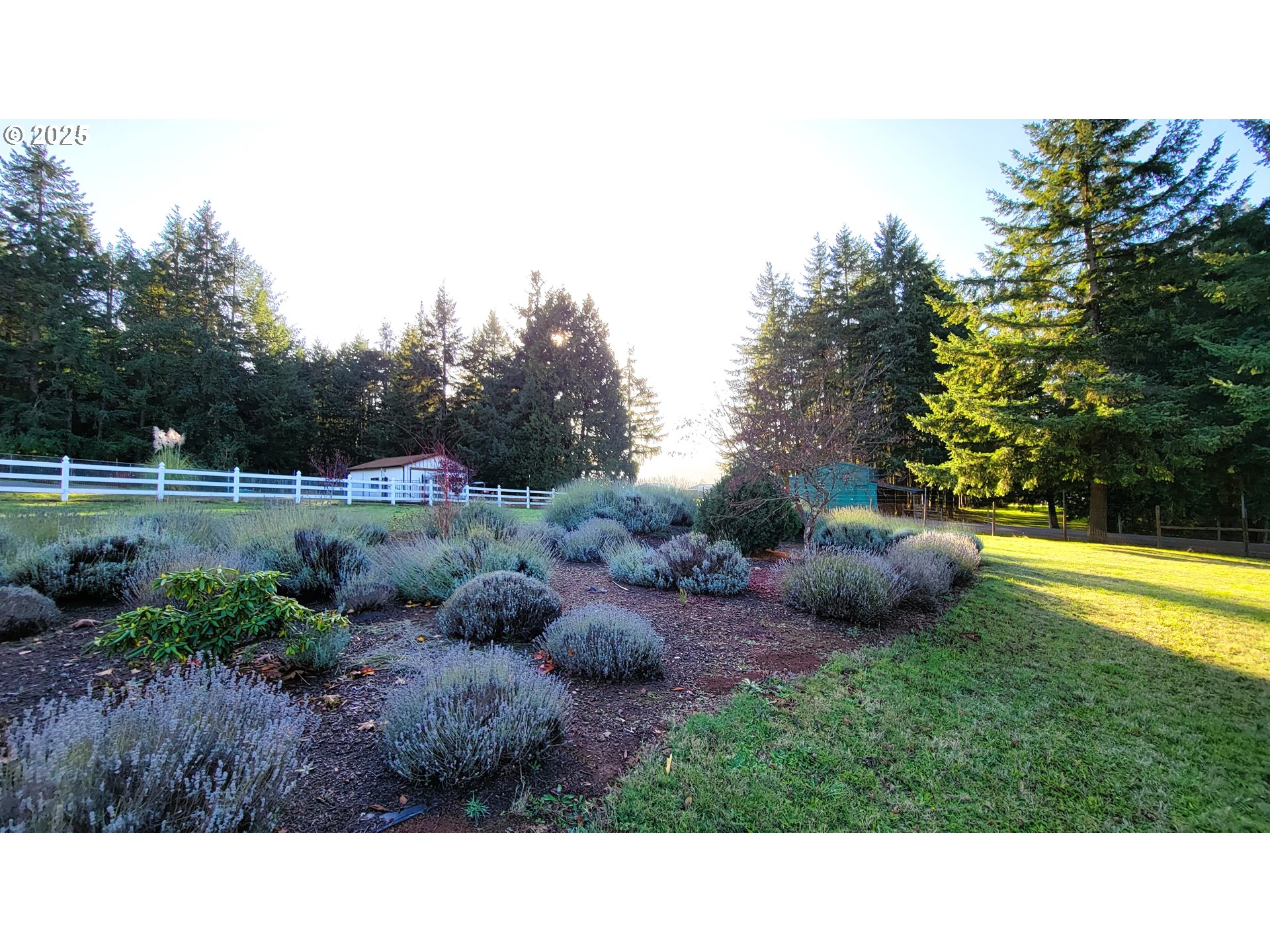 34336 Stewart Hills Lane Cottage Grove, OR 97424 - Photo 38 of 40 a black and white photo of a house
