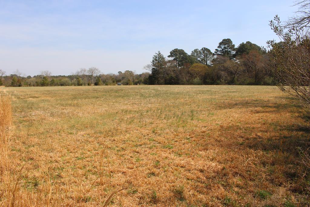 Lot 3-4 Mink Farm Road, Unit 4 3 Onancock, VA 23417 - Photo 5 of 19