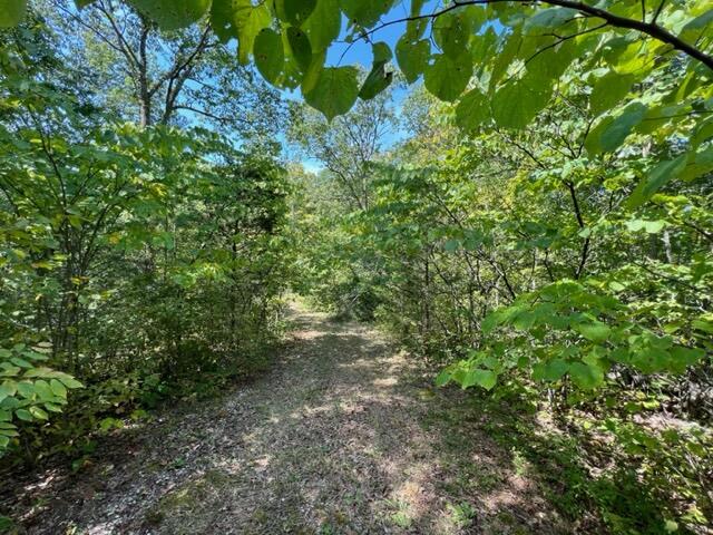52 Sheridan Road Morehead, KY 40351 - Photo 11 of 29 IMG_2680