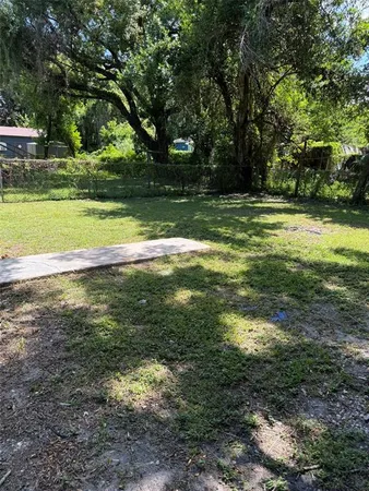 a view of a yard with plants and large trees