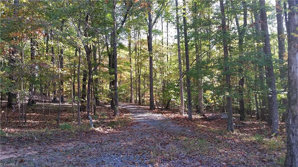 1058 Apple Meadow Road Madison, NC 27025 - Photo 1 of 15