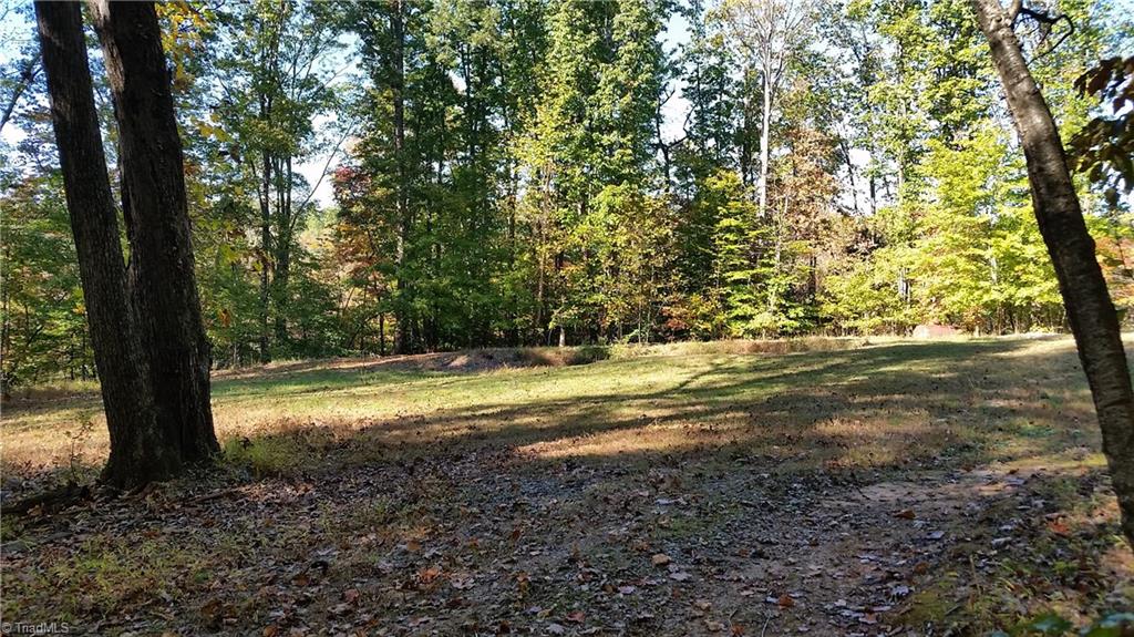 1058 Apple Meadow Road Madison, NC 27025 - Photo 2 of 15