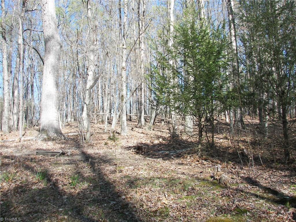 1058 Apple Meadow Road Madison, NC 27025 - Photo 12 of 15