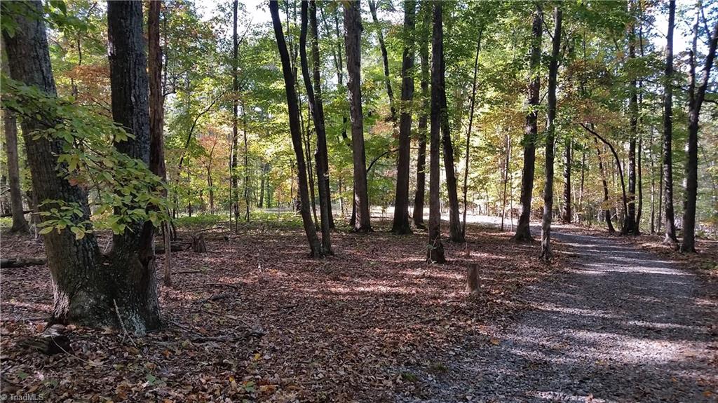 1058 Apple Meadow Road Madison, NC 27025 - Photo 3 of 15