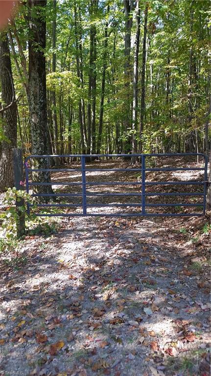 1058 Apple Meadow Road Madison, NC 27025 - Photo 4 of 15