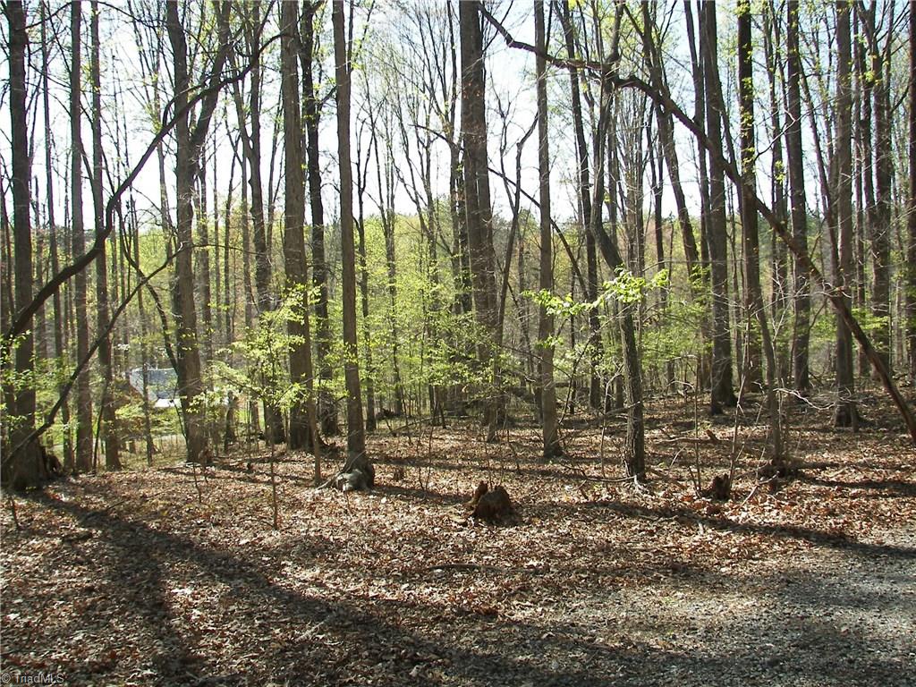 1058 Apple Meadow Road Madison, NC 27025 - Photo 5 of 15