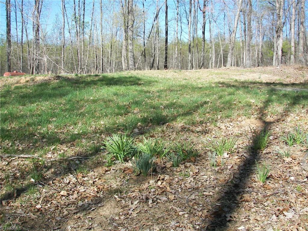 1058 Apple Meadow Road Madison, NC 27025 - Photo 6 of 15