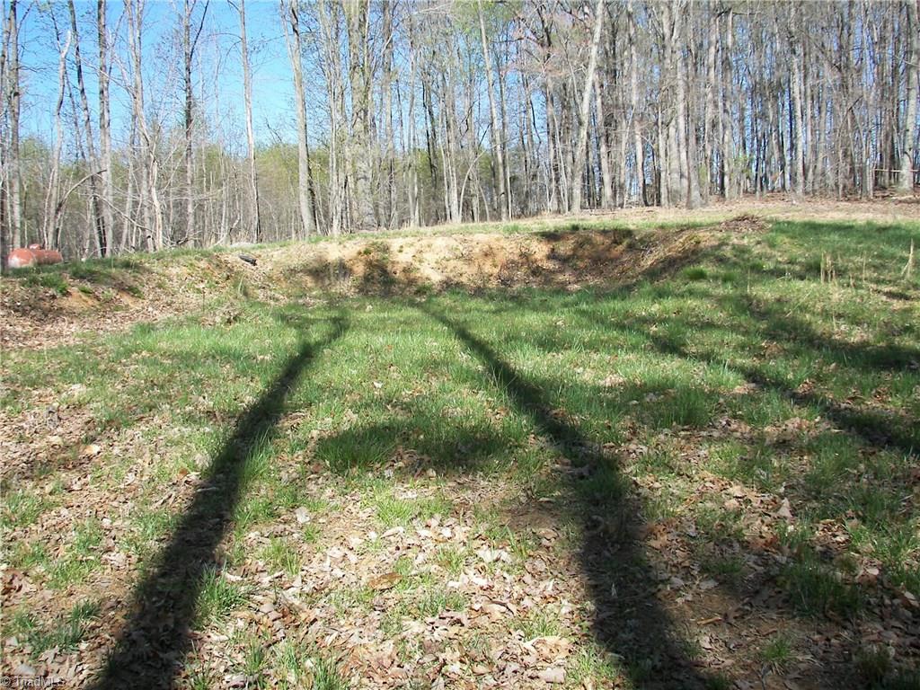 1058 Apple Meadow Road Madison, NC 27025 - Photo 7 of 15