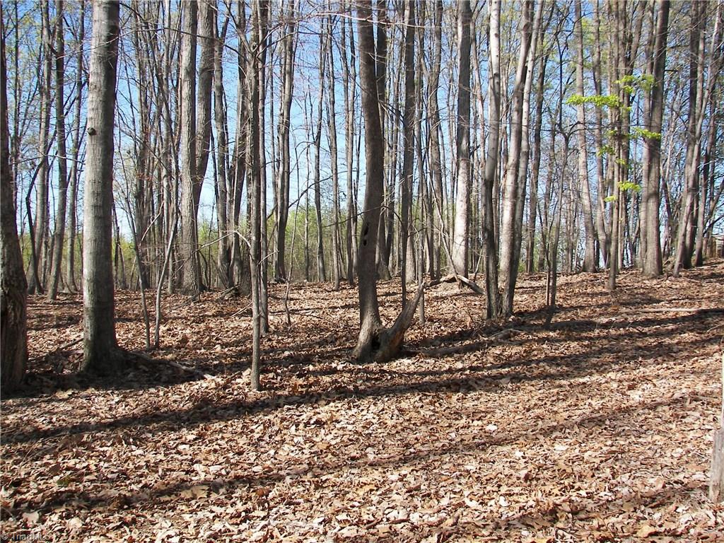 1058 Apple Meadow Road Madison, NC 27025 - Photo 8 of 15