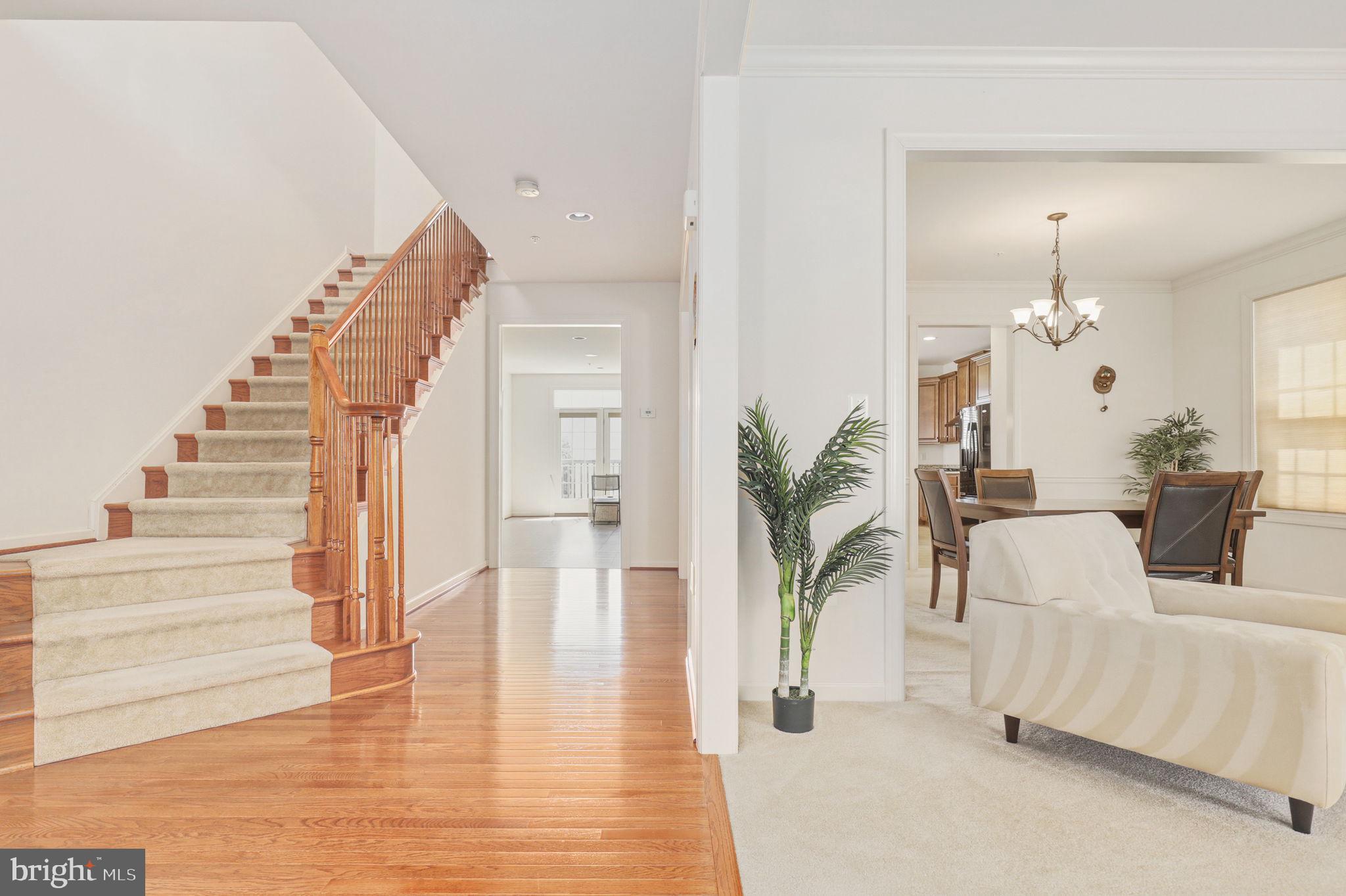 13621 Stargazer Lane Silver Spring, MD 20906 - Photo 3 of 66 View From Foyer