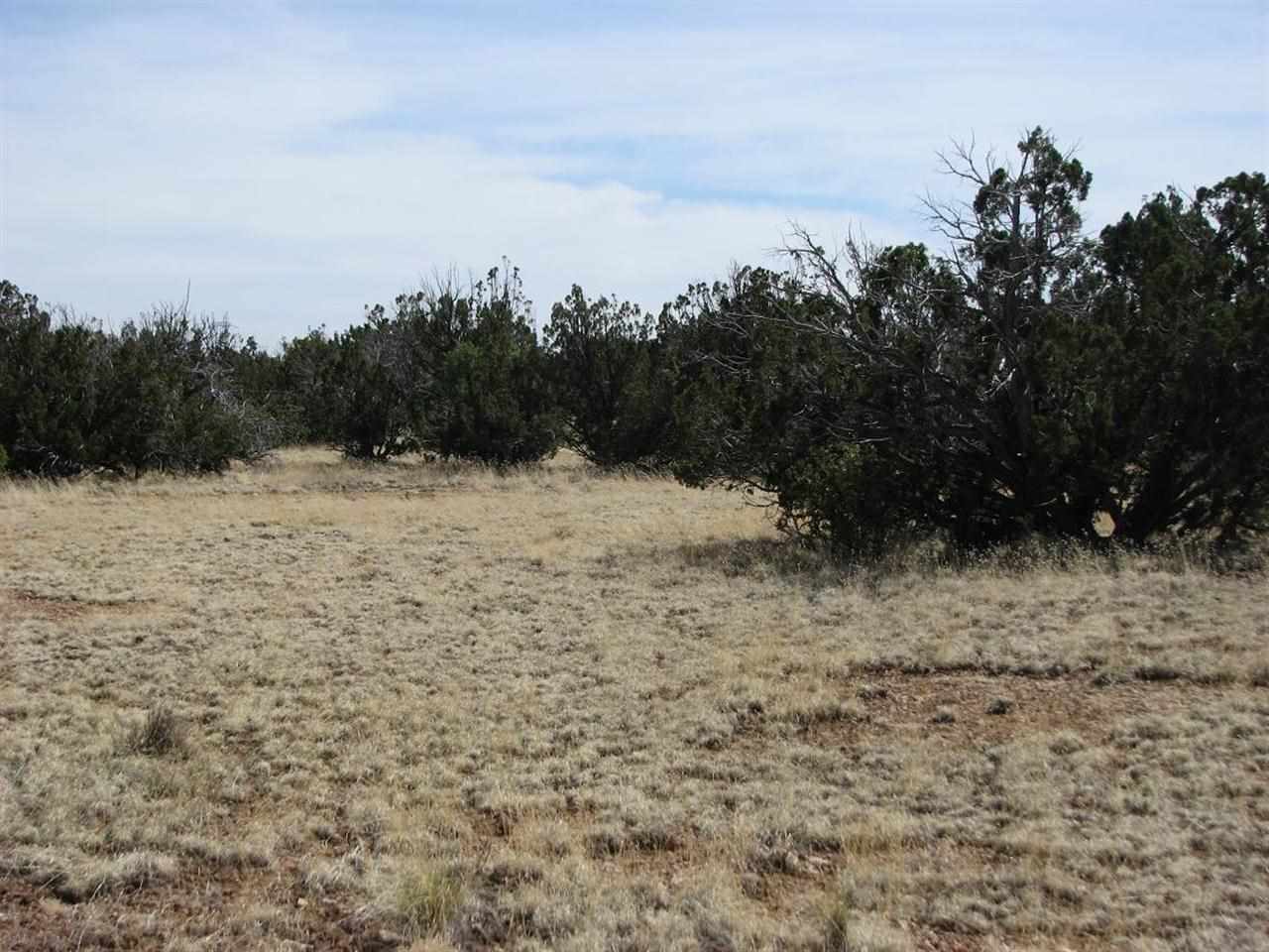 31 T15n R16e:se4 Heber, AZ 85928 - Photo 2 of 3