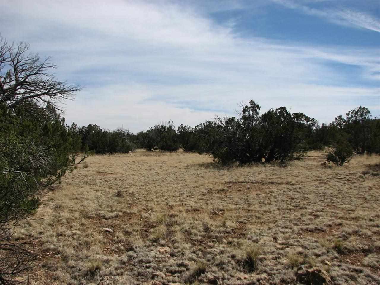 31 T15n R16e:se4 Heber, AZ 85928 - Photo 3 of 3