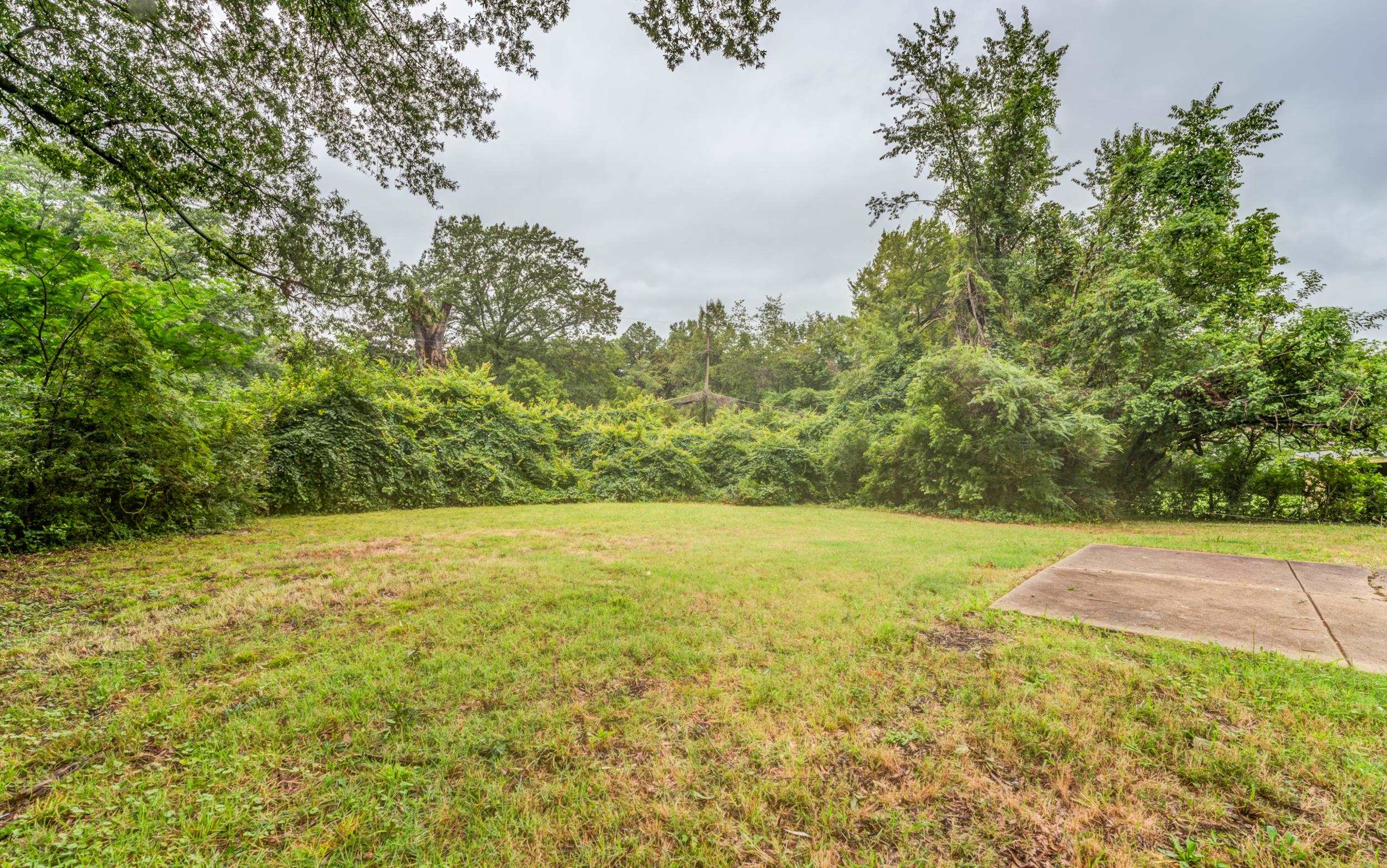 5341 Millbranch Road Memphis, TN 38116 - Photo 26 of 29 a view of large trees with an outdoor space