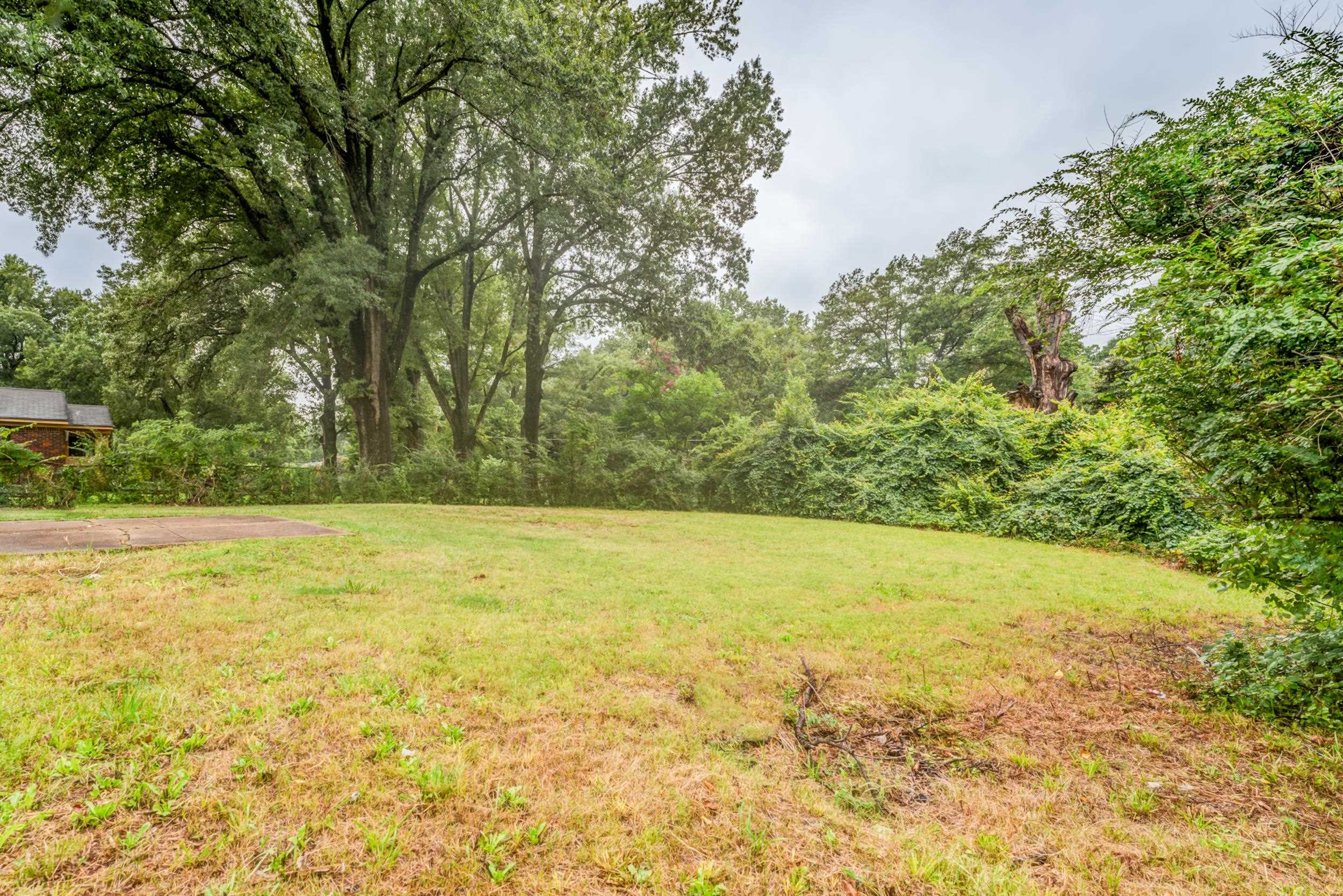 5341 Millbranch Road Memphis, TN 38116 - Photo 27 of 29 a view of a yard with an outdoor space