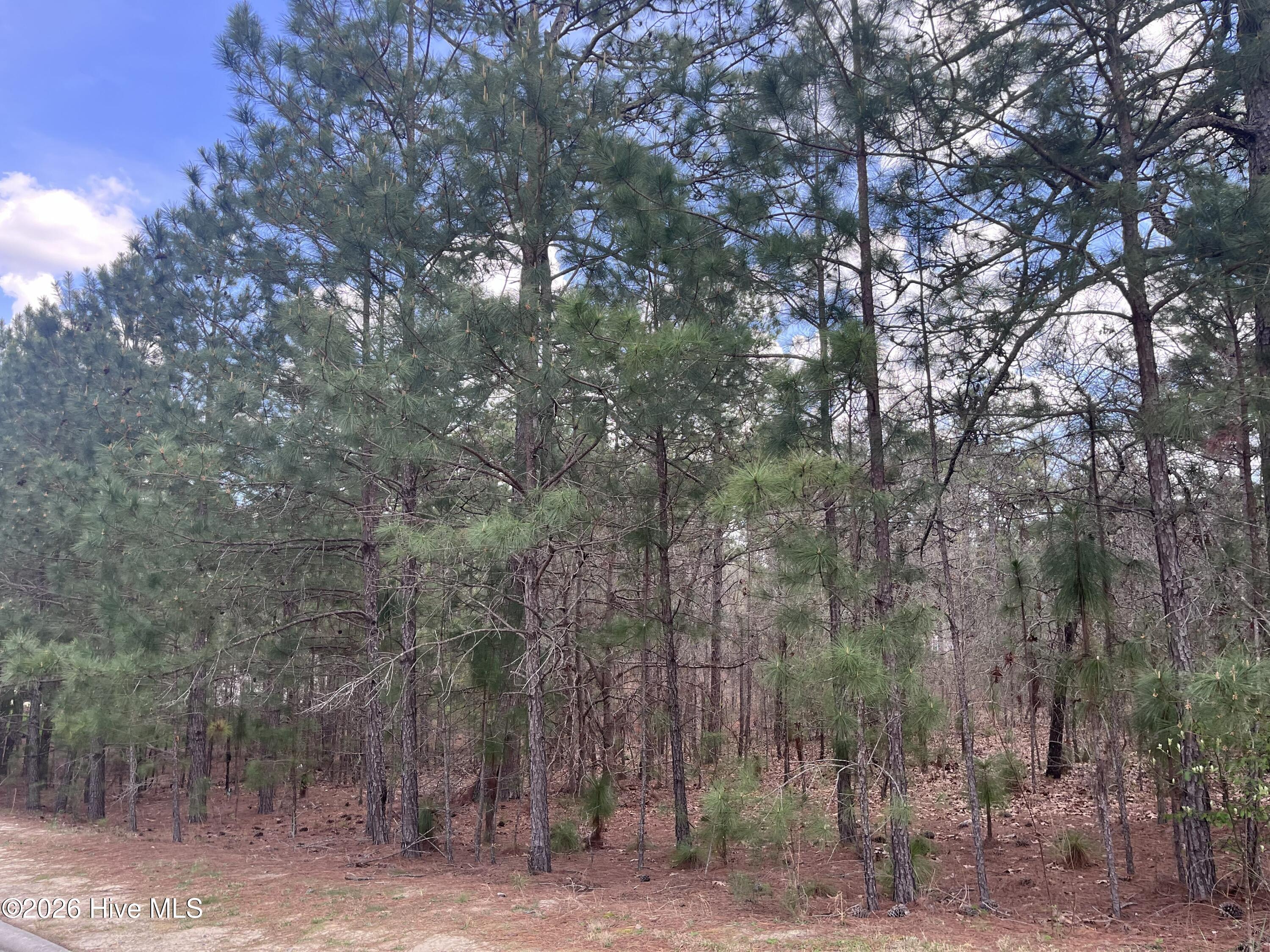 29 Ridgeland Street Pinehurst, NC 28374 - Photo 2 of 5 IMG_6006