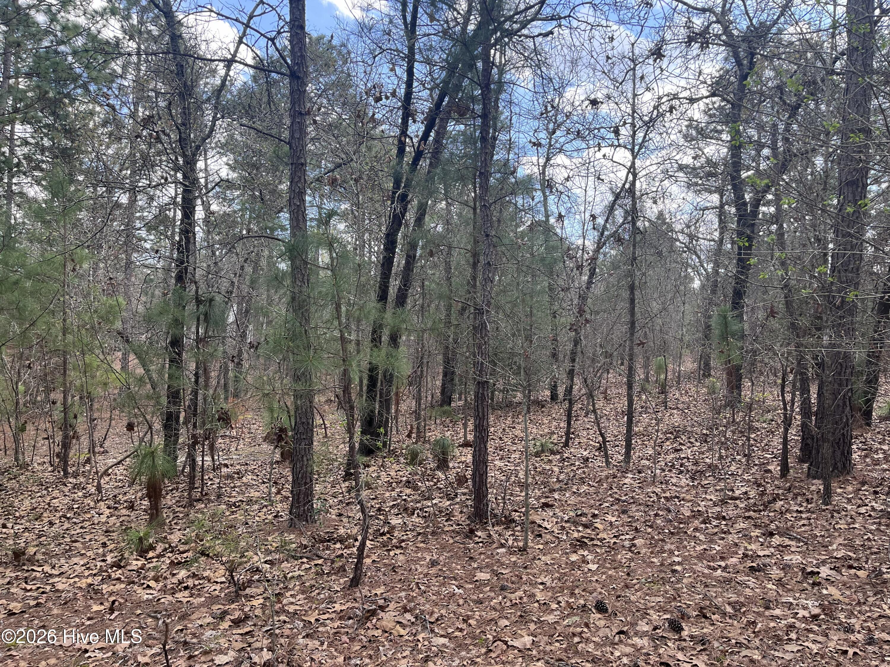 29 Ridgeland Street Pinehurst, NC 28374 - Photo 3 of 4 IMG_6008