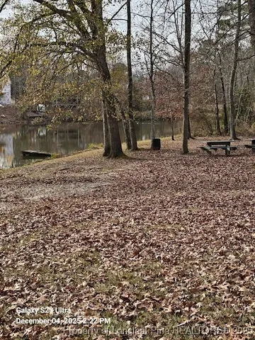 a view of a backyard with large trees