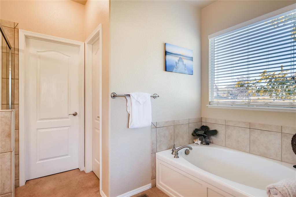 13909 Windy Oaks Road Colorado Springs, CO 80921 - Photo 17 of 29