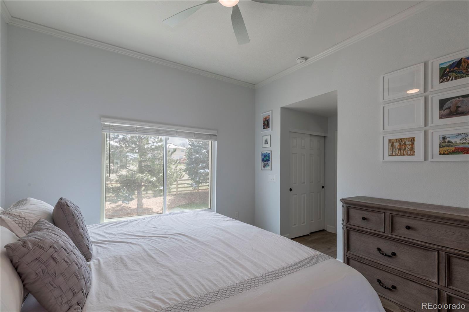 294 West Willowick Circle Highlands Ranch, CO 80129 - Photo 12 of 37 a bedroom with a bed and a window