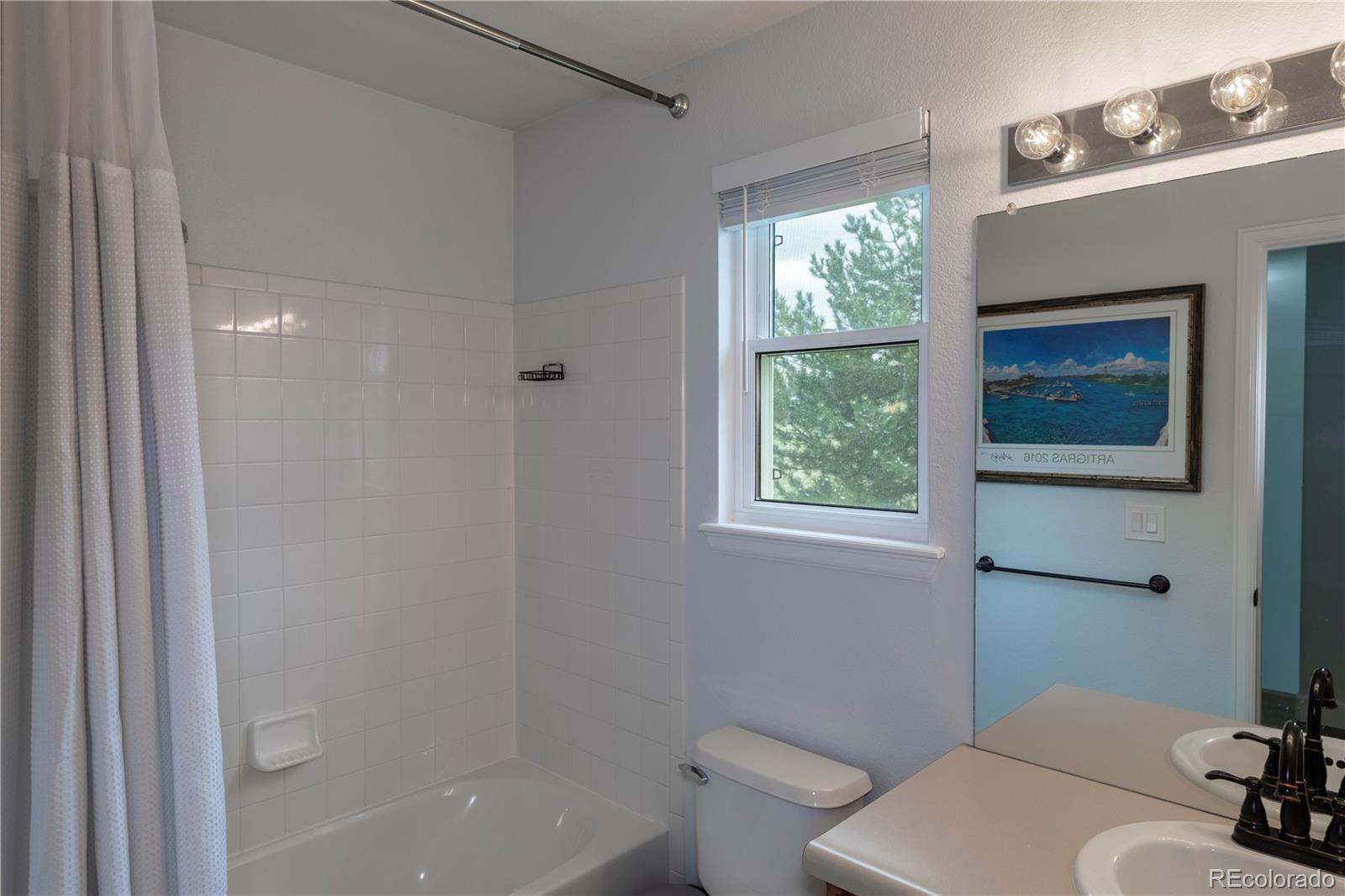 294 West Willowick Circle Highlands Ranch, CO 80129 - Photo 19 of 37 a bathroom with a toilet a sink and a bathtub