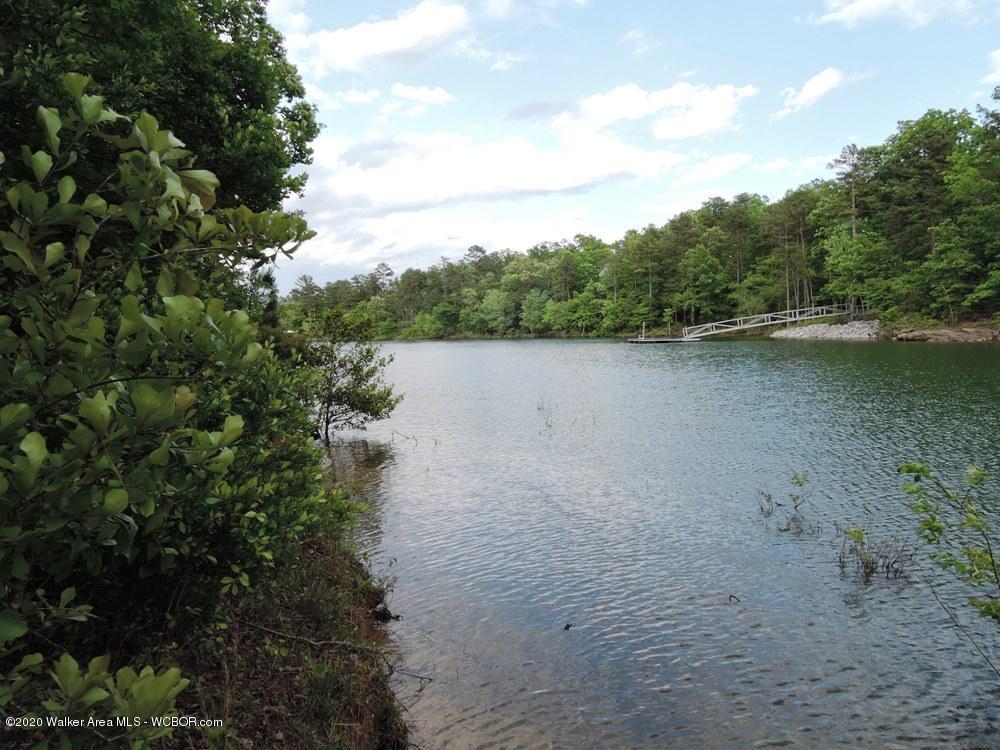 Winward Tack Road Double Springs, AL 35553 - Photo 6 of 7 Gallery Image 6