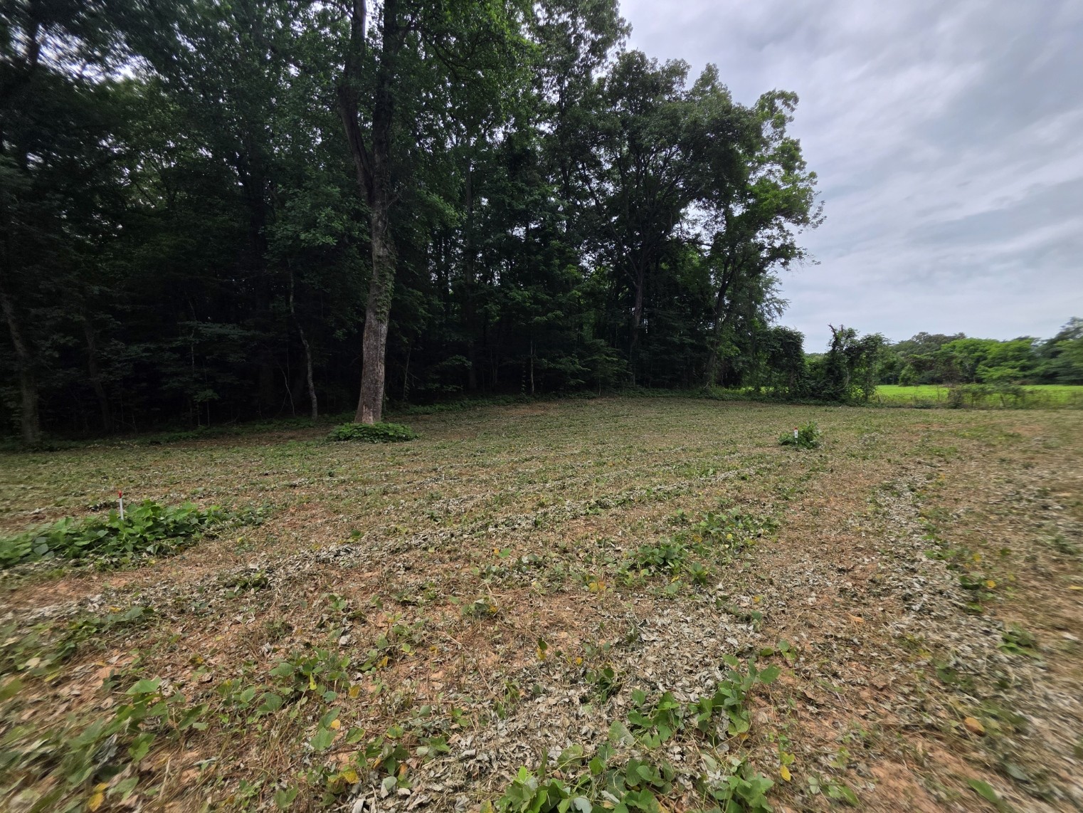 13 Shellsford Road McMinnville, TN 37110 - Photo 6 of 10