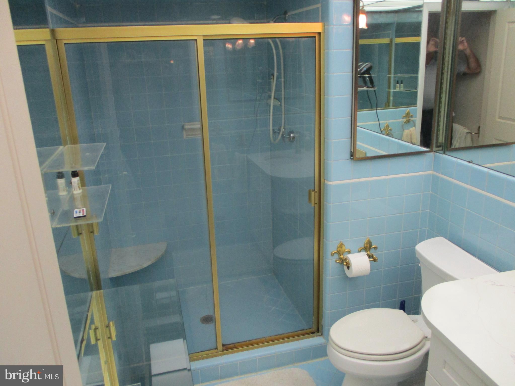 27 Chapel Hill Road Huntingdon Valley, PA 19006 - Photo 49 of 61 Master Bathroom