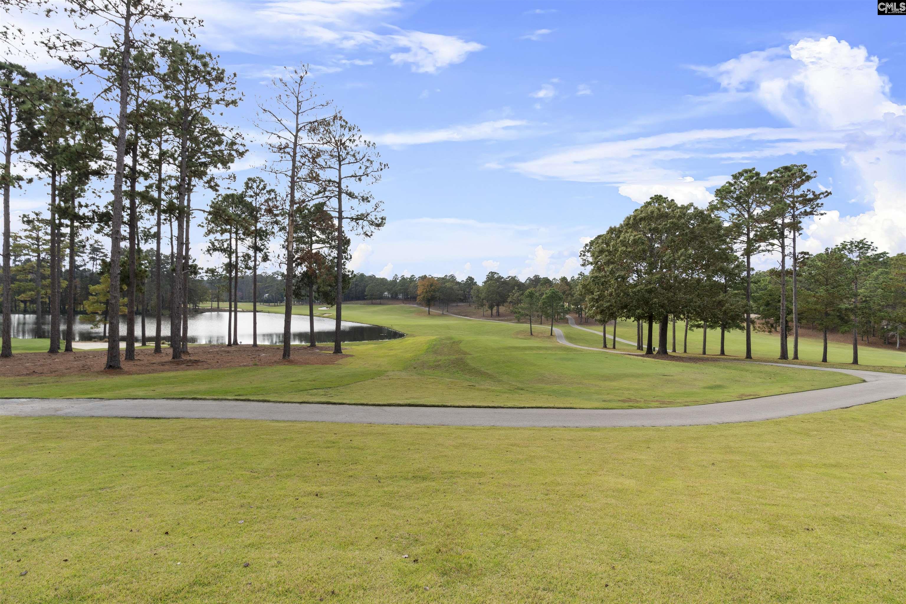 116 Sweetshrub Road Elgin, SC 29045 - Photo 45 of 59