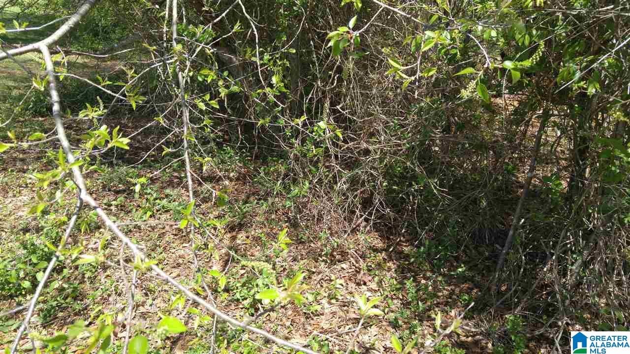 318 Timber Rdg Trail, Unit 207 Alabaster, AL 35007 - Photo 1 of 1