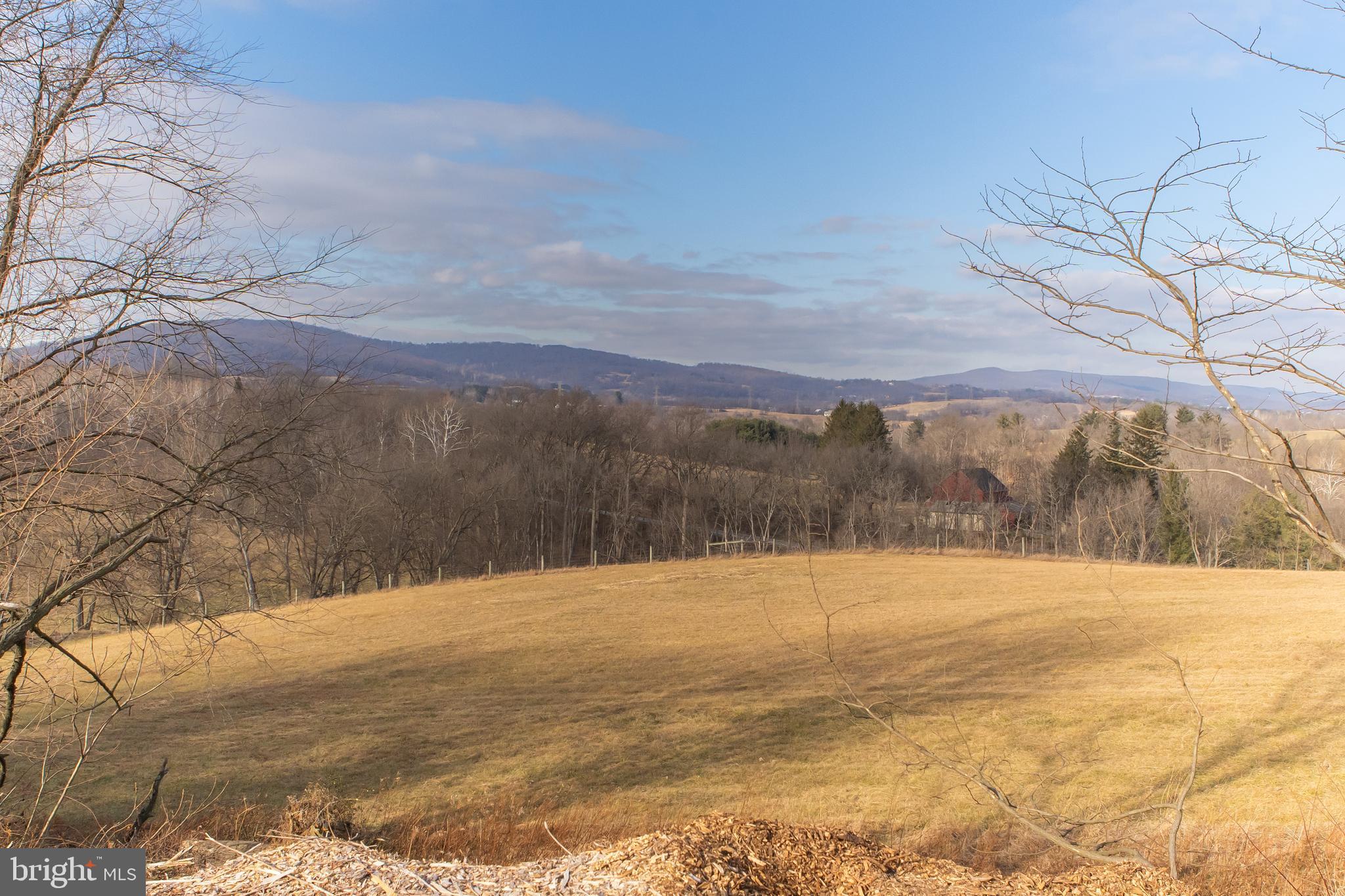 2730 Marker Road Middletown, MD 21769 - Photo 68 of 73 a view of ocean with yard