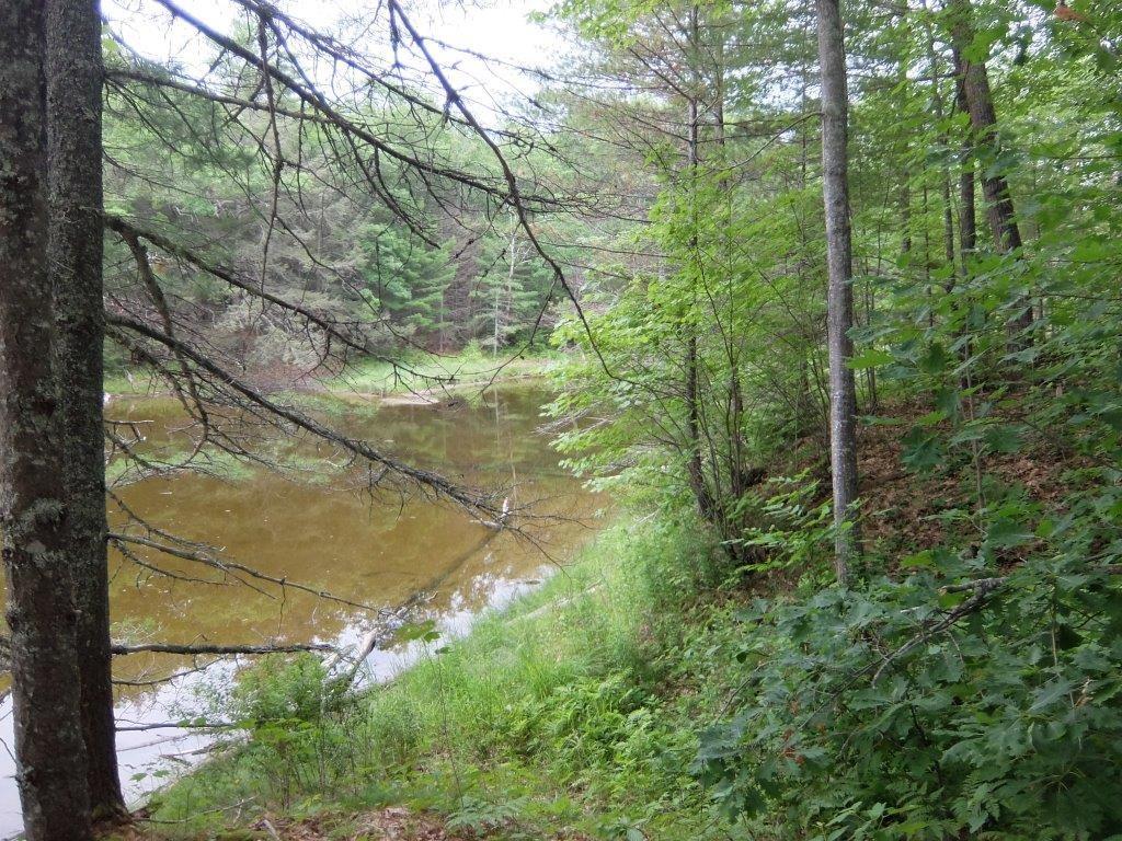 108 Shore Road Edgecomb, ME 04556 - Photo 26 of 35 Photo