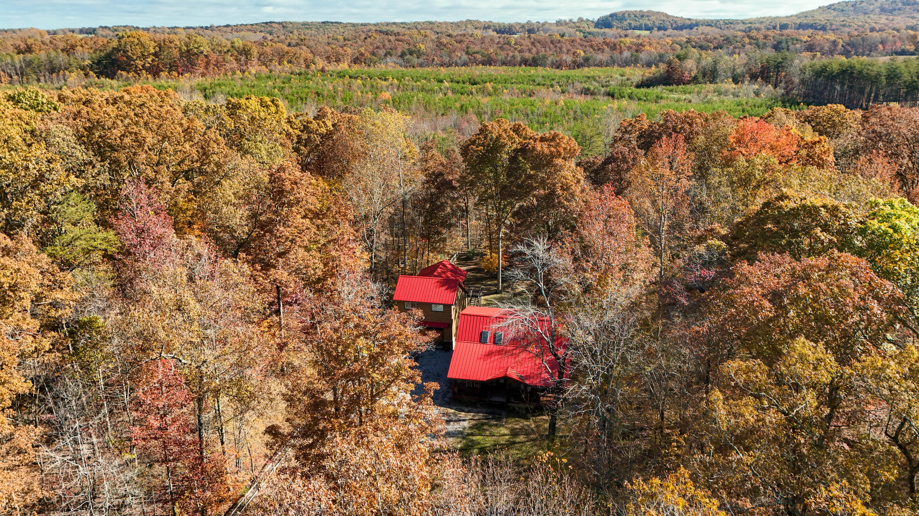 92 Mount Laurel Road Pikeville, TN 37367 - Photo 2 of 92 MtLaurel-89