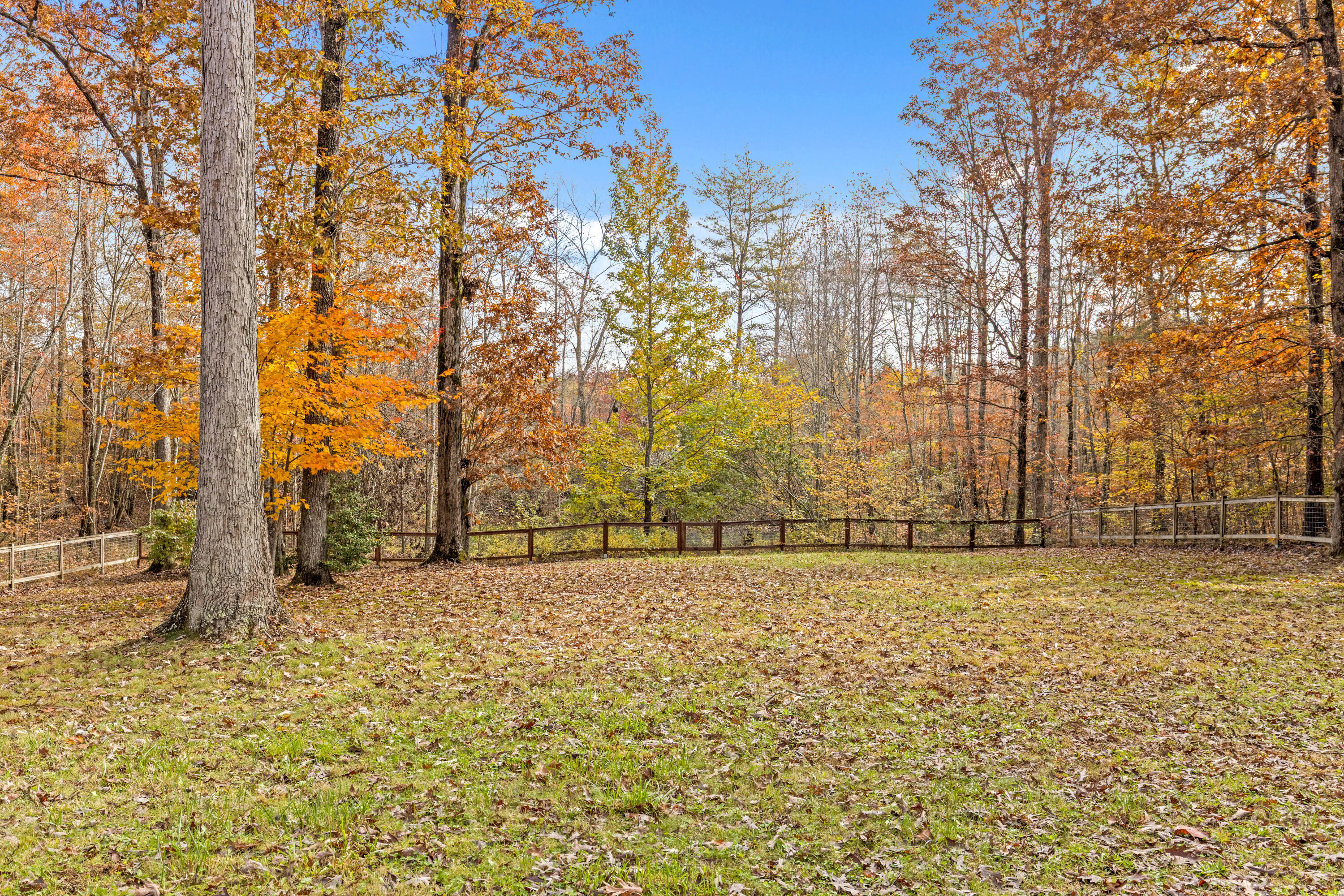 92 Mount Laurel Road Pikeville, TN 37367 - Photo 55 of 92 MtLaurel-52