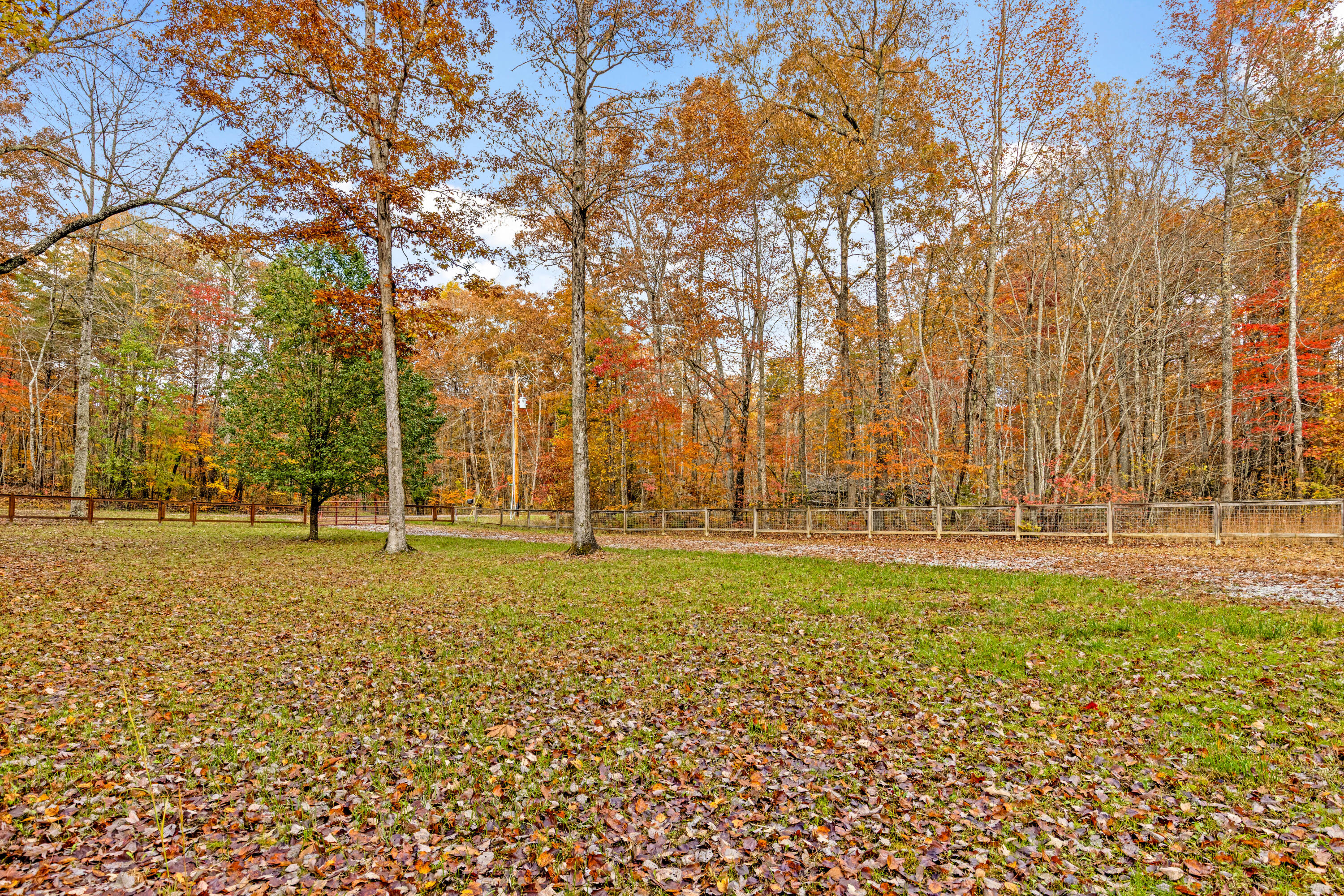 92 Mount Laurel Road Pikeville, TN 37367 - Photo 66 of 92 MtLaurel-66