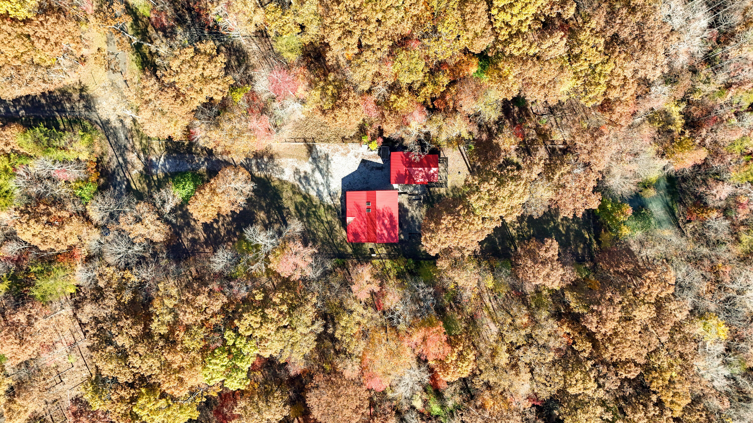 92 Mount Laurel Road Pikeville, TN 37367 - Photo 72 of 92 MtLaurel-73