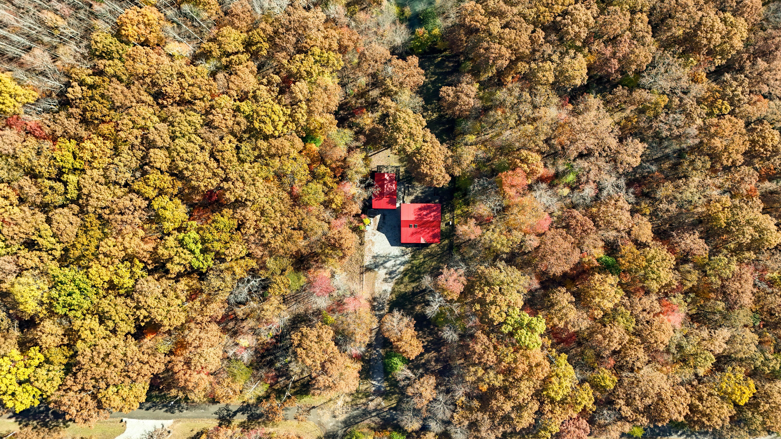 92 Mount Laurel Road Pikeville, TN 37367 - Photo 73 of 92 MtLaurel-74