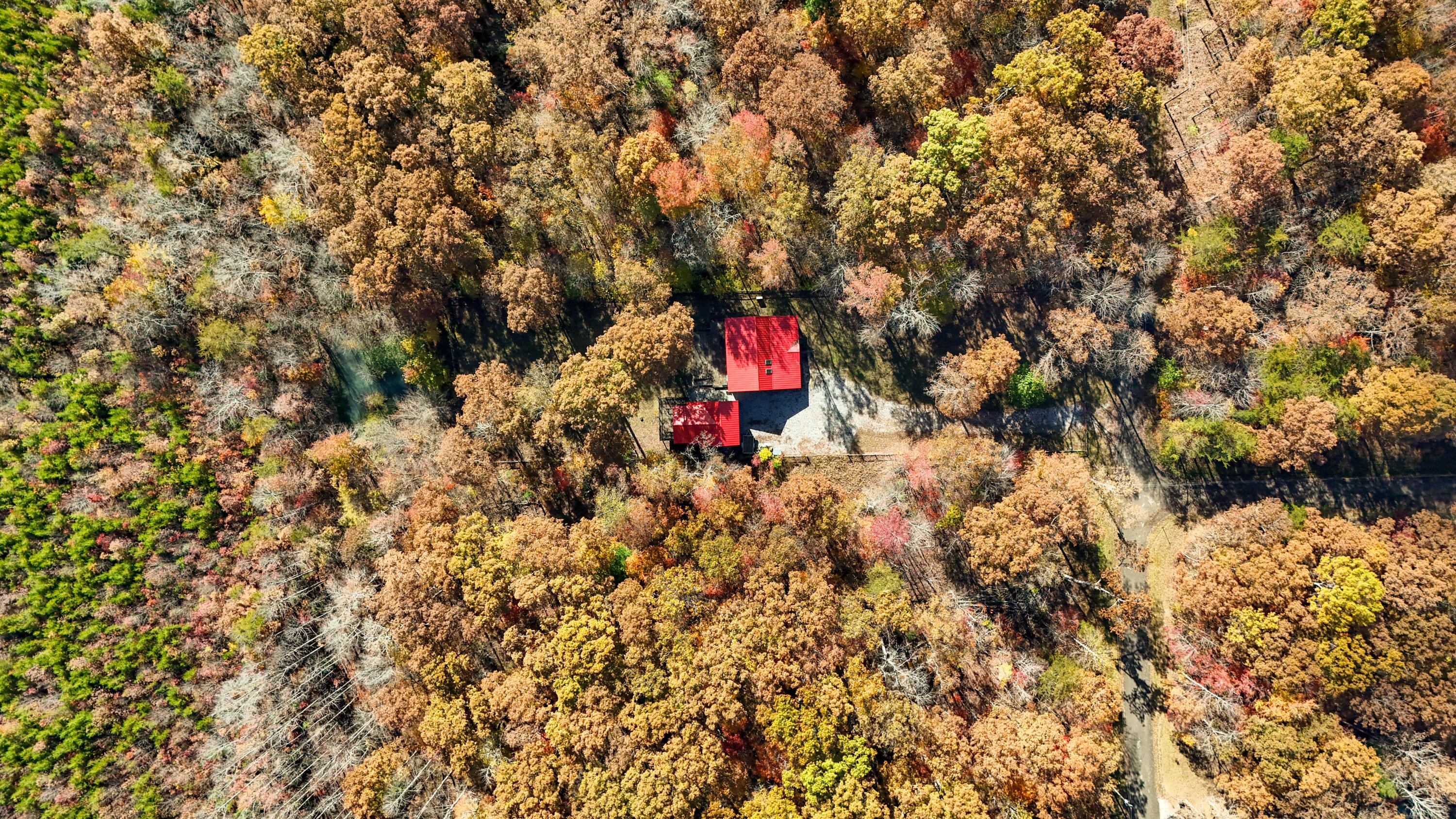 92 Mount Laurel Road Pikeville, TN 37367 - Photo 74 of 92 MtLaurel-75