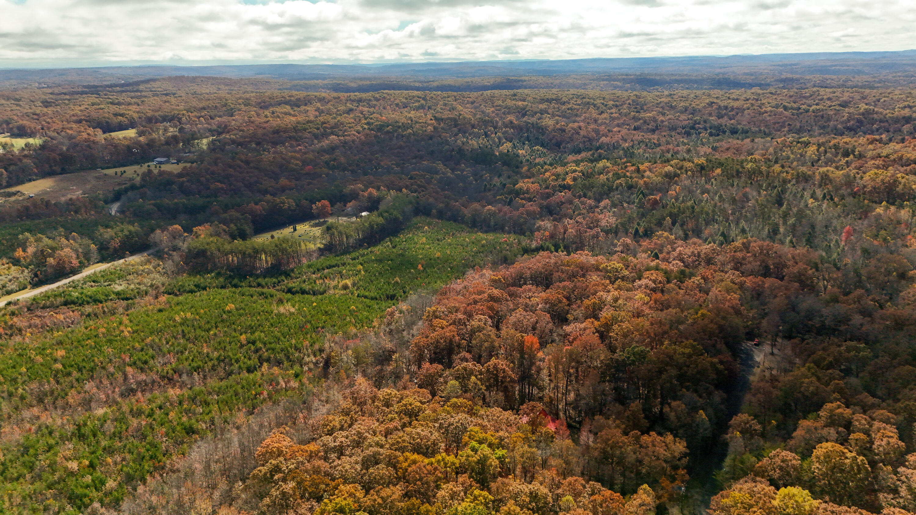 92 Mount Laurel Road Pikeville, TN 37367 - Photo 75 of 92 MtLaurel-76