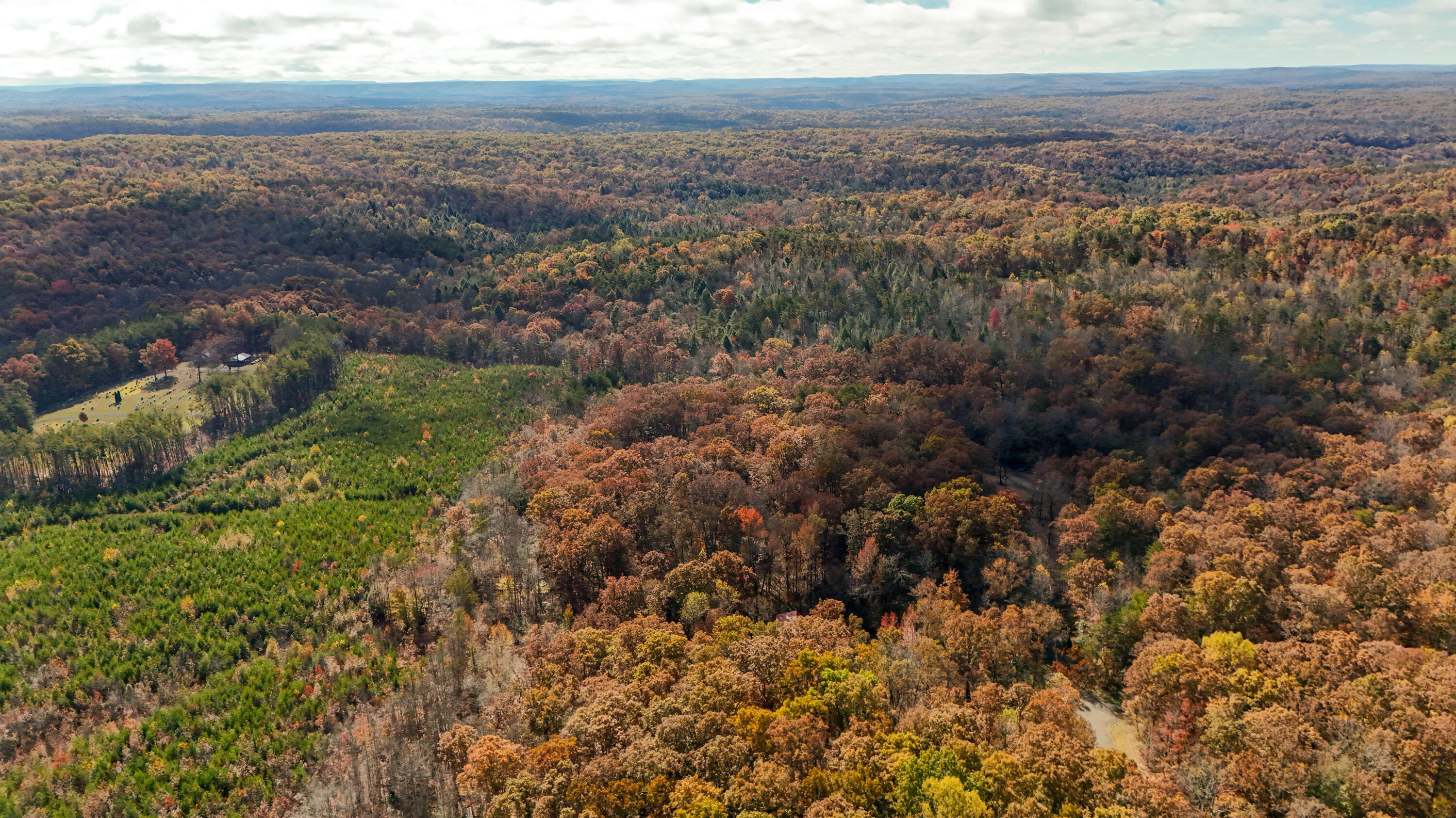 92 Mount Laurel Road Pikeville, TN 37367 - Photo 76 of 92 MtLaurel-77