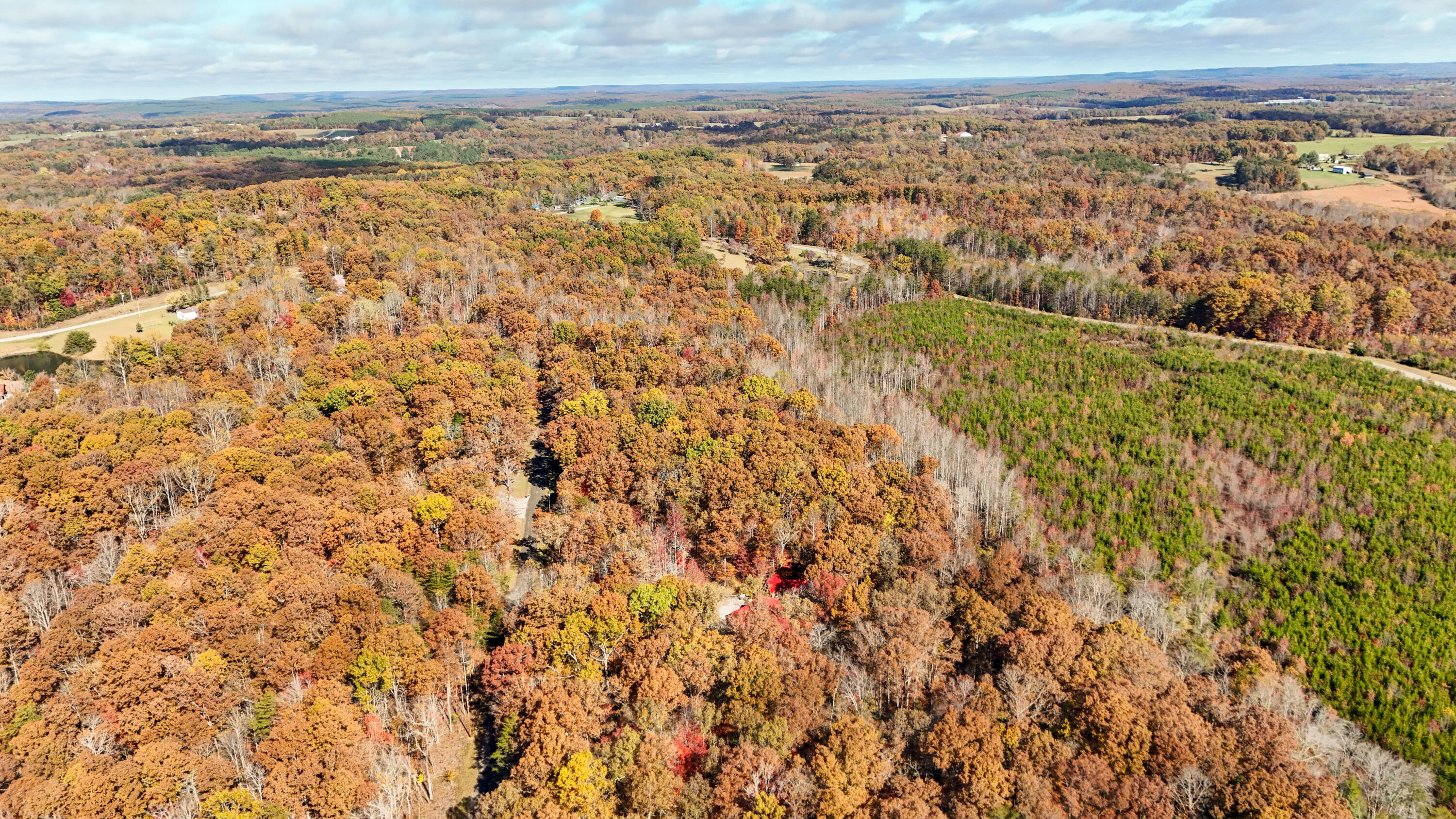 92 Mount Laurel Road Pikeville, TN 37367 - Photo 82 of 92 MtLaurel-83