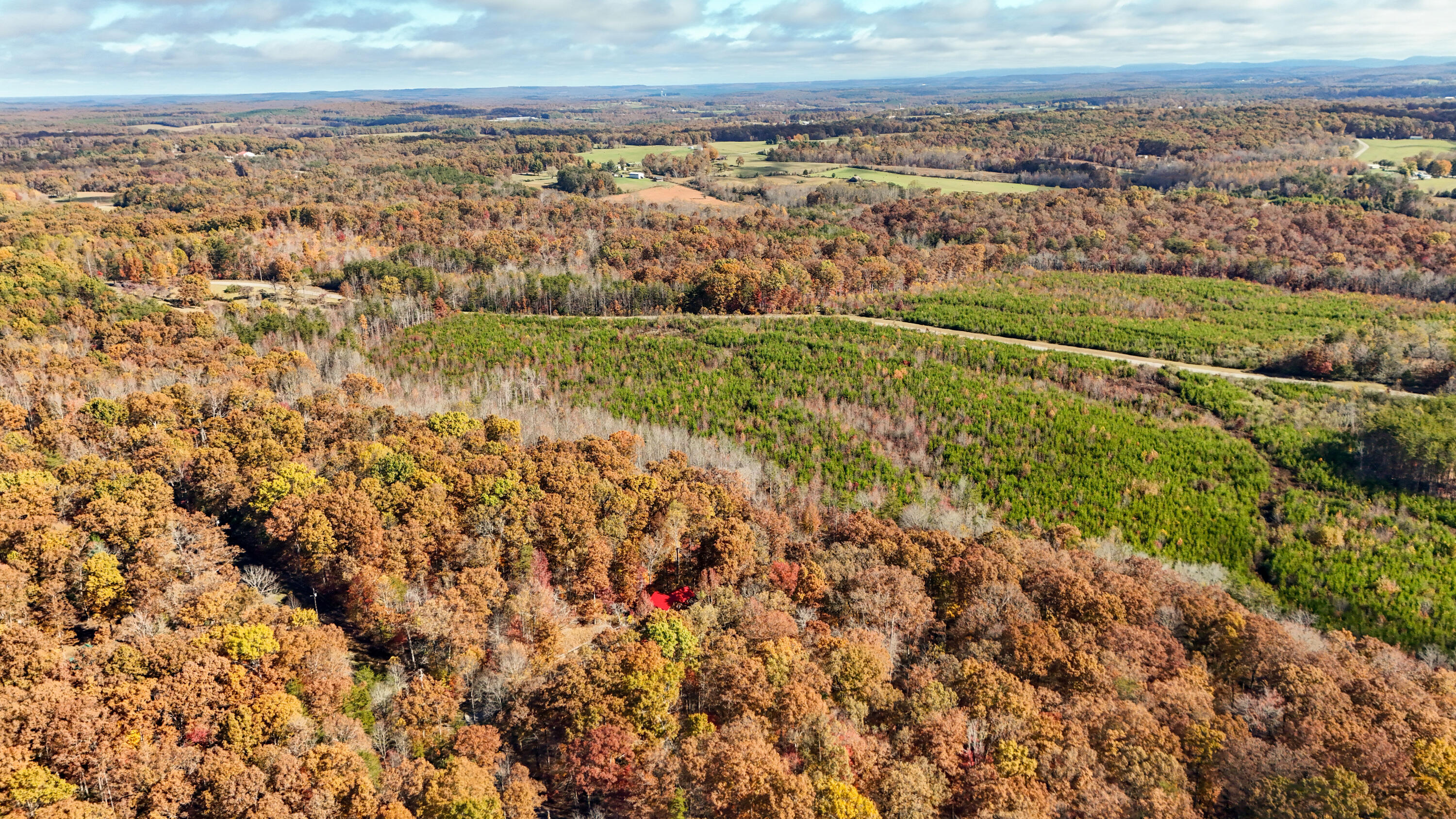 92 Mount Laurel Road Pikeville, TN 37367 - Photo 83 of 92 MtLaurel-84