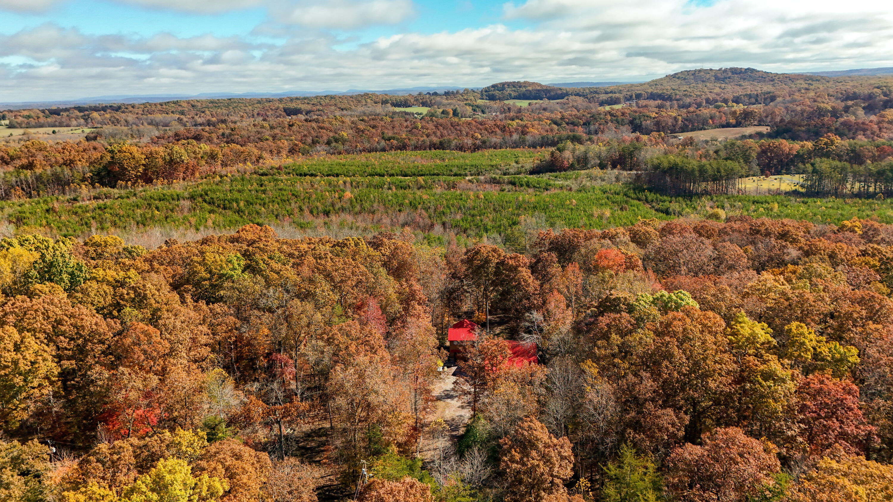 92 Mount Laurel Road Pikeville, TN 37367 - Photo 86 of 92 MtLaurel-87