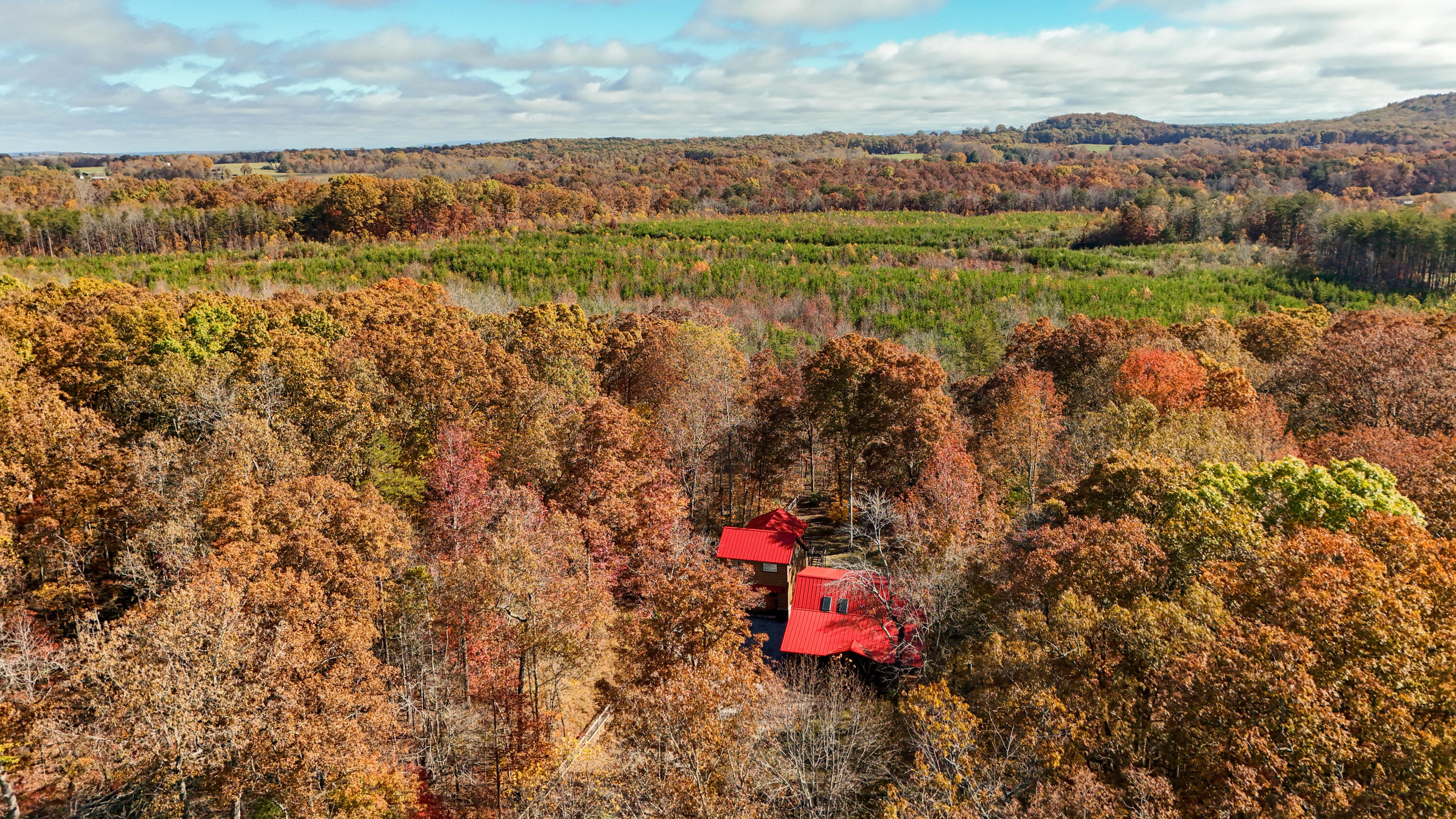 92 Mount Laurel Road Pikeville, TN 37367 - Photo 87 of 92 MtLaurel-88