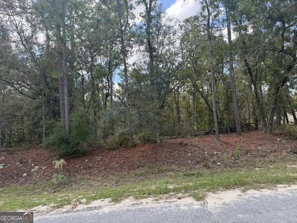 a view of a forest with trees in the background