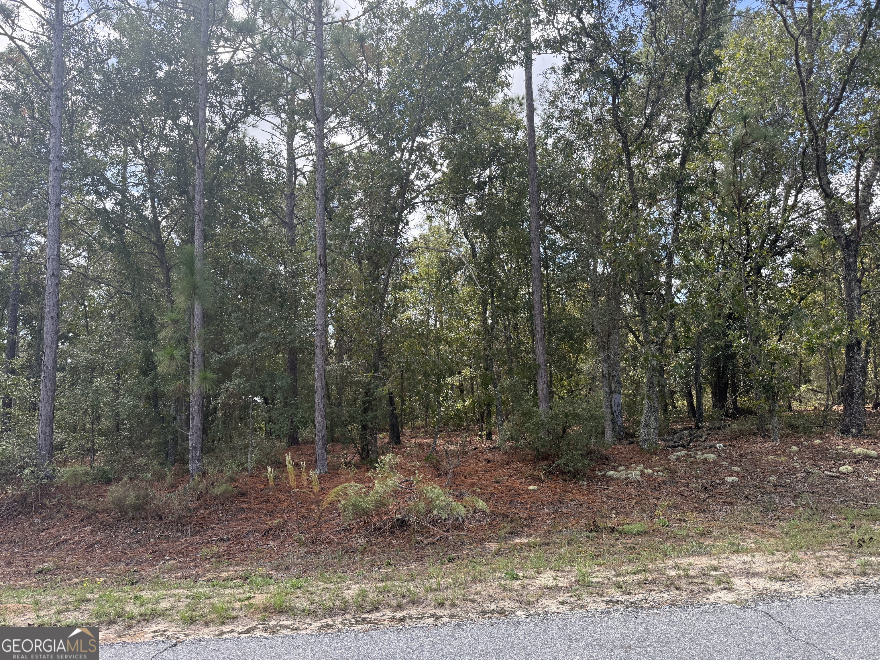 Lot 51 Ridge Loop Blackshear, GA 31516 - Photo 2 of 4